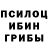 Галлюциногенные грибы Psilocybe Marvel Memers