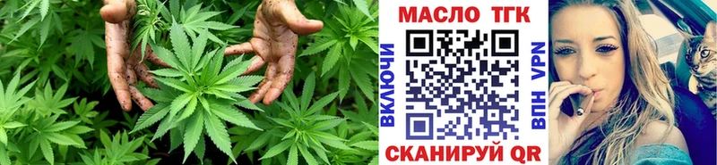 купить наркотики сайты  Будённовск  Дистиллят ТГК вейп 