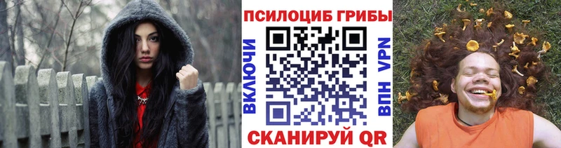 Псилоцибиновые грибы Cubensis Будённовск