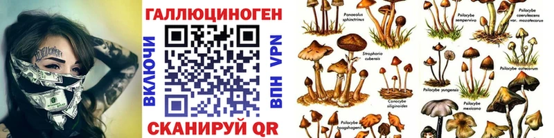 Галлюциногенные грибы ЛСД  Будённовск 